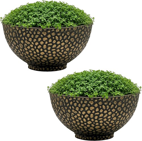 Traders cathay bowl plant - bowl,