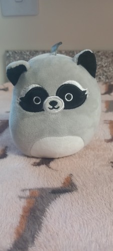 Rocky the raccoon squishmallow - raccoon,