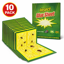 Strong Sticky Trap Pad 10 Pack
