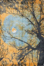 Enchanting Forest Area Rug 6x8