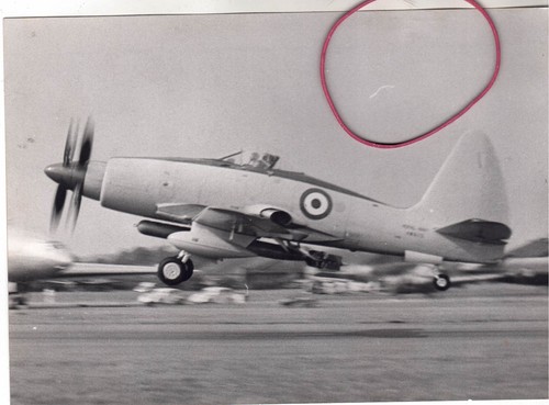 Photo aircraft - aircraft, westland