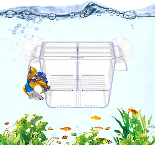 Fish breeding box - box, aquarium