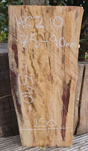 Spalted chestnut live edge - chestnut,