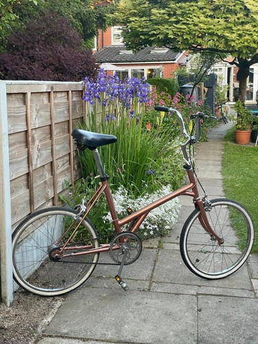 Dawes kingpin bike - dawes,