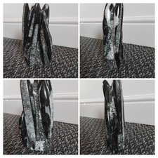 Orthoceras fossil tower - , 8