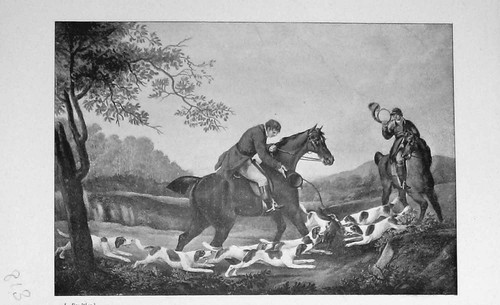 Original old antique print fox - antique,