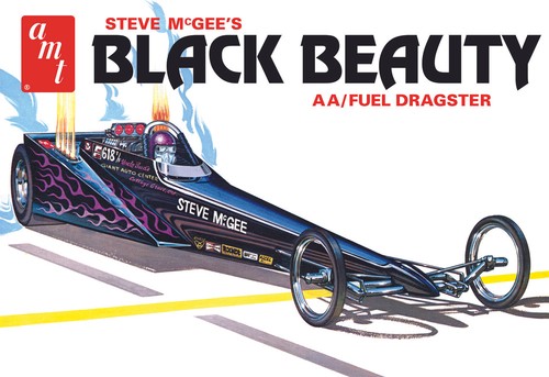 Amt steve mcgee - steve, beauty
