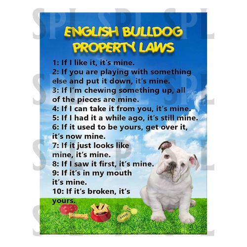 English bulldog laws - english,