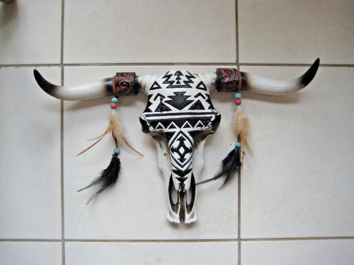 Bull bison steer - bison, horns