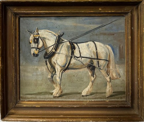 Caroline bromley gardner white - caroline,