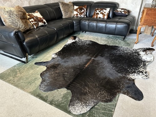 New brazilian large - new,