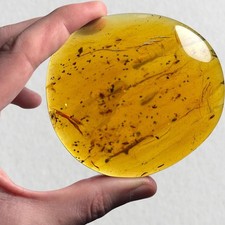 HUGE Burmese / Burmite amber