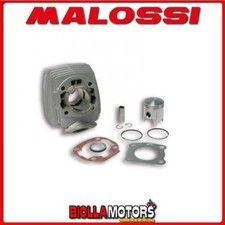 316746 THERMAL GROUP MALOSSI