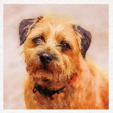 Dog -Border Terrier Fabric
