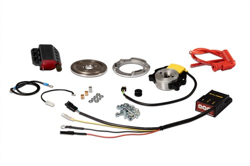 Malossi internal rotor - internal,