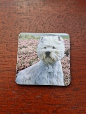 West Highland Terrier magnet