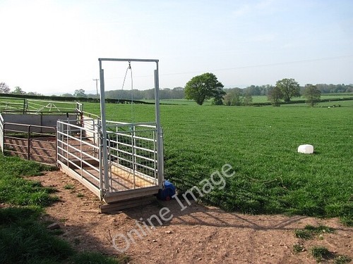 Photo 6x4 gathering pens - gathering,
