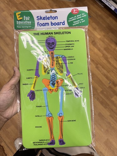 Pack education human - pack,
