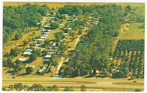 Vtg postcard mockingbird - vtg, postcard-mockingbird
