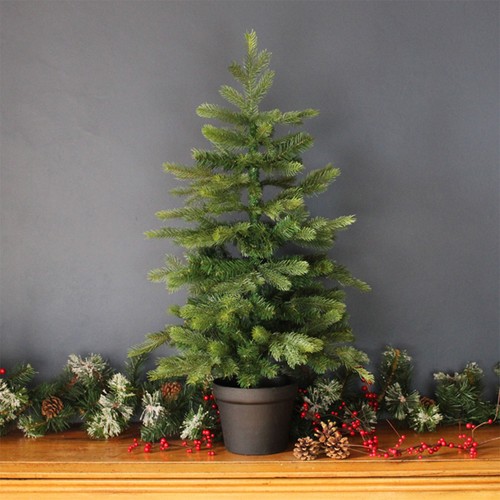 Everlands 3ft grandis mini - 3ft,
