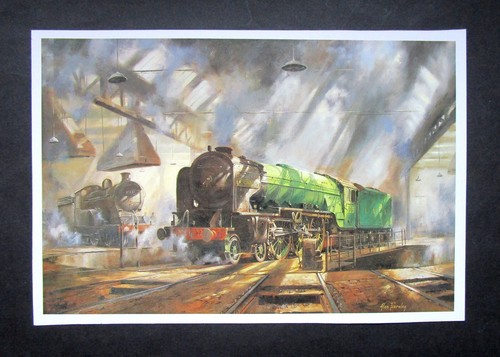Alan fearnley 6 - 9.80", x
