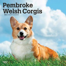 Pembroke Welsh Corgis Calendar