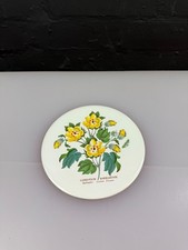 Portmeirion Botanic Garden Tea