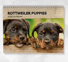 Rottweiler Puppies Calendar