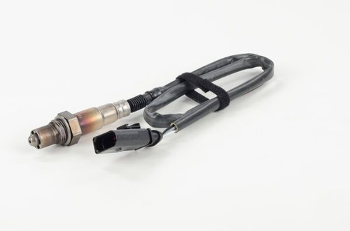 Bosch post cat - cat, lambda