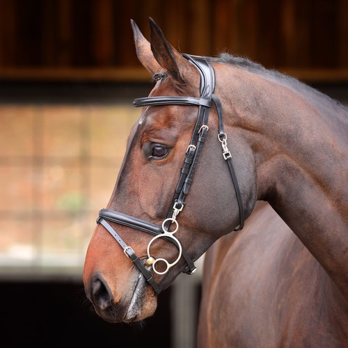 Shires velociti rapida - velociti,