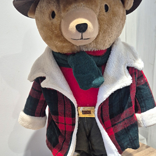 Brown plush teddy - bear, soft