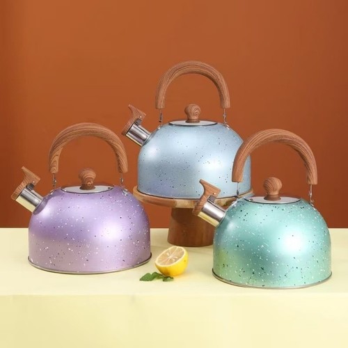 Stainless steel kettle - steel, in