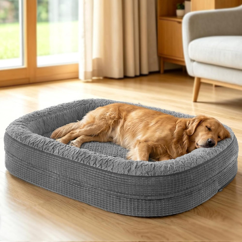 Large dog bed orthopedic - dog,