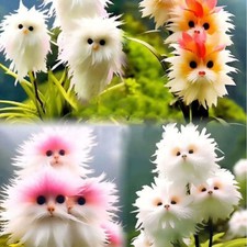 50 Pcs Seeds Cute Monkey Face