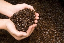 WORLD TOUR FRESH ROASTED