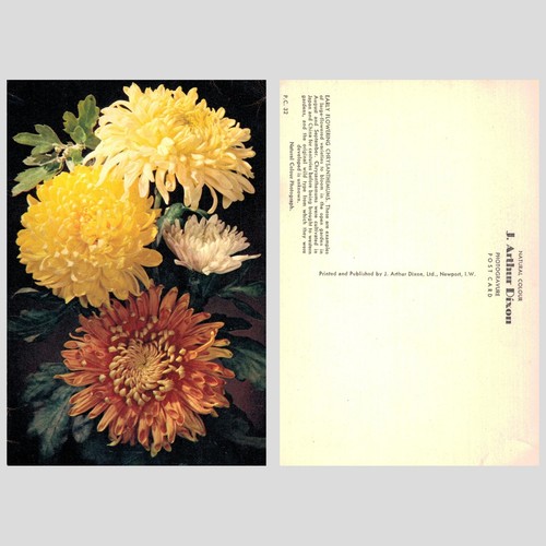 Vintage postcard early - -,