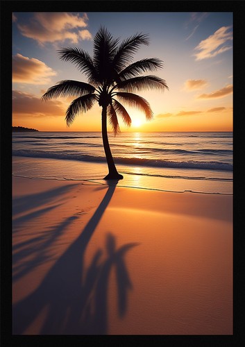 Dramatic tropical beach - tropical, framed