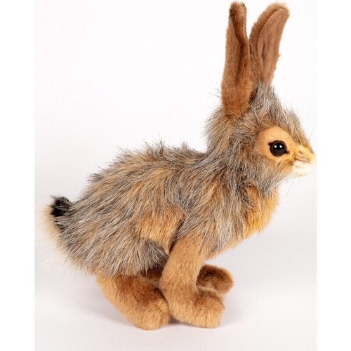 Hansa black tailed rabbit - hansa,