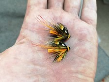 2 Willie Gunn Pot Bellied Pigs