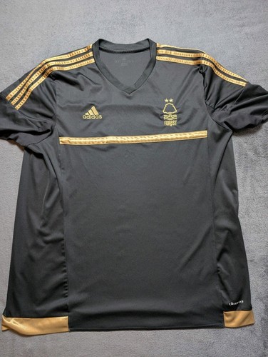 Nottingham forest 2015 - forest, 2015/16