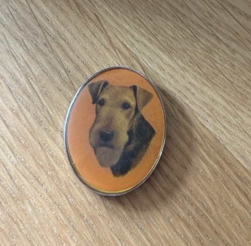 Vintage airedale terrier - airedale, charm
