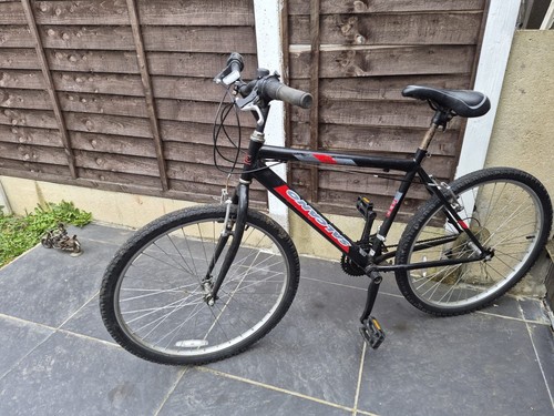 Adult bike - adult,