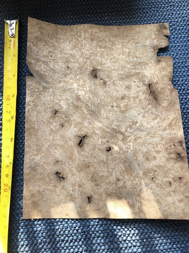 Walnut burr burl real wood - walnut,