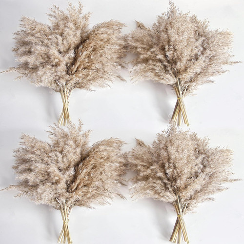 Pcs nature pampas - 40, grass