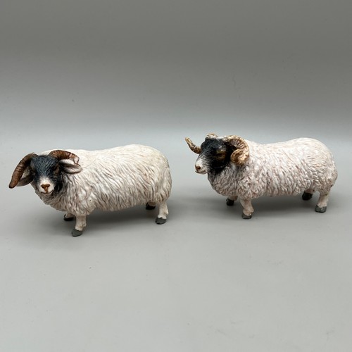 Elc aaa vintage ram - vintage,