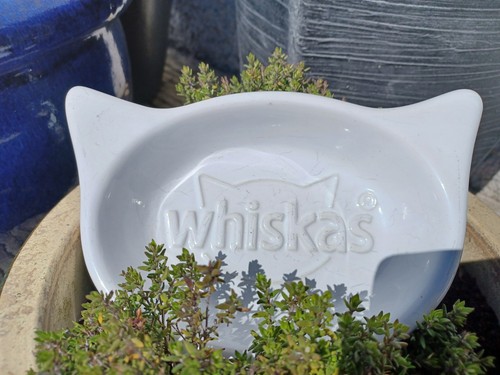 Vintage whiskers cat bowl - whiskers,