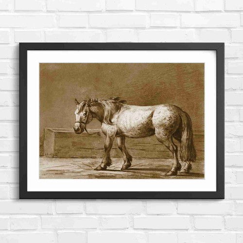 Dappled grey draft - dappled,