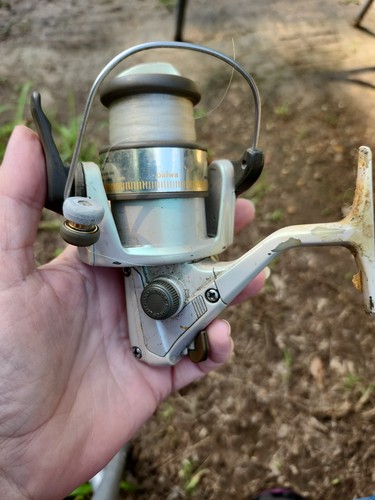 Daiwa regal gyro spin - gyro, ball