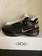 Nike Zoom LeBron NXXT Gen AMPD