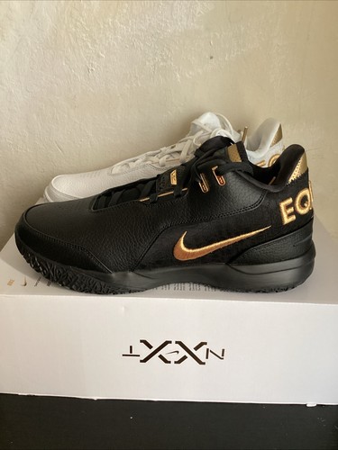 Nike zoom lebron - nike, nxxt